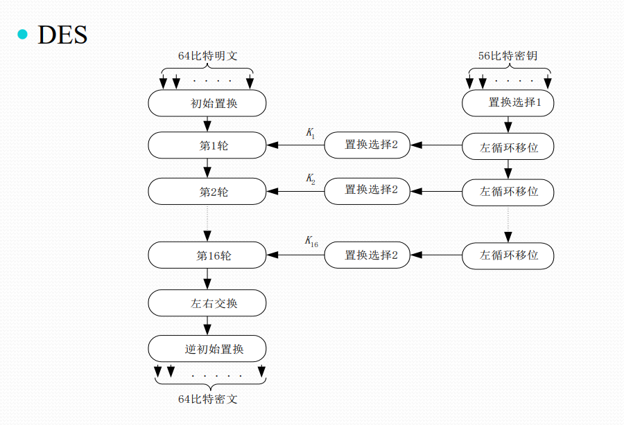 image-20231221160220578